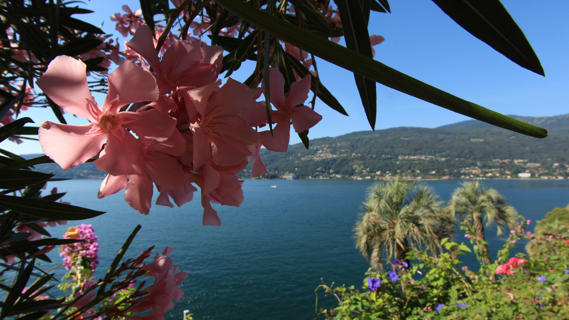 IItalien - Lago Maggiore - Isola Bella